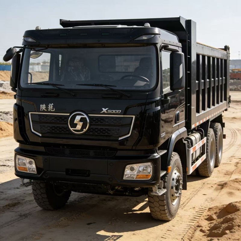 Shaanxi Automobile Dump Truck suppliers
