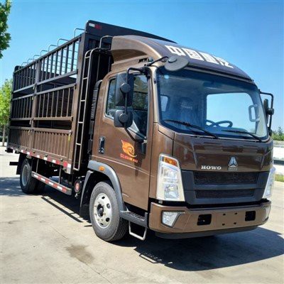 Warehouse Type Light Truck